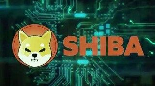 shi币平台app下载链接 屎币交易平台手机端